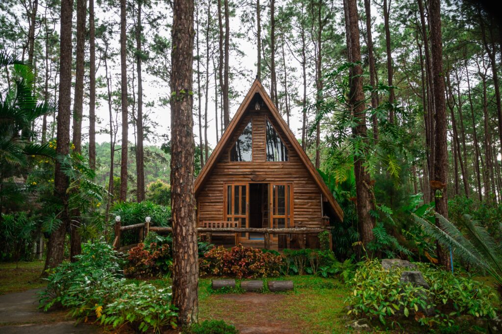 a-frame house in the colorado woods with trees